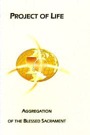 Cover of The project of life.